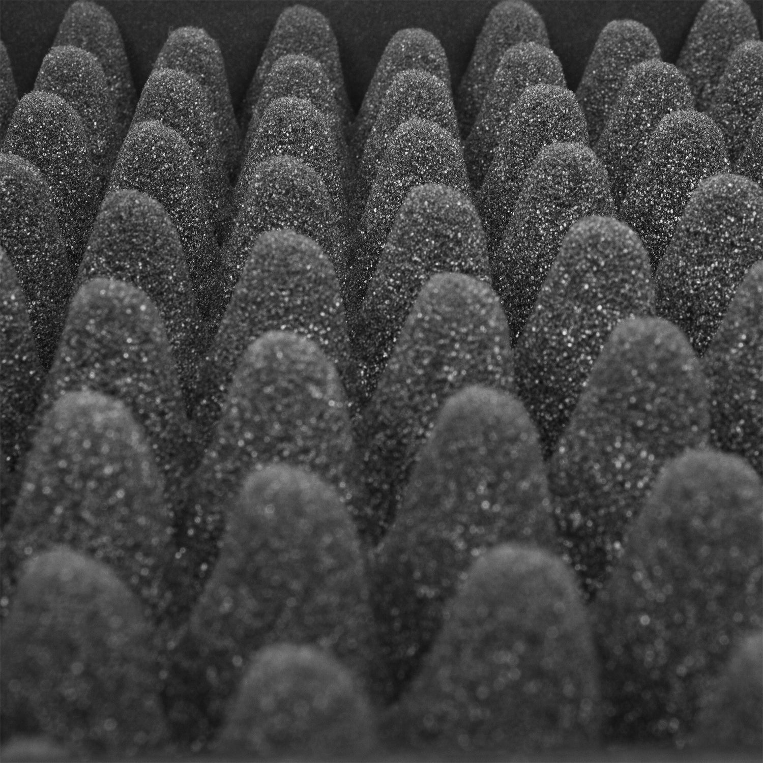 UDG Ultimate Flight Case Wolfmix W1 Black - U91079BL