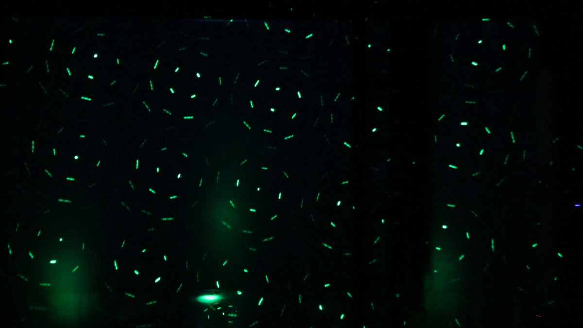 Event Lighting Lite - ShowPony All in one effects fixture