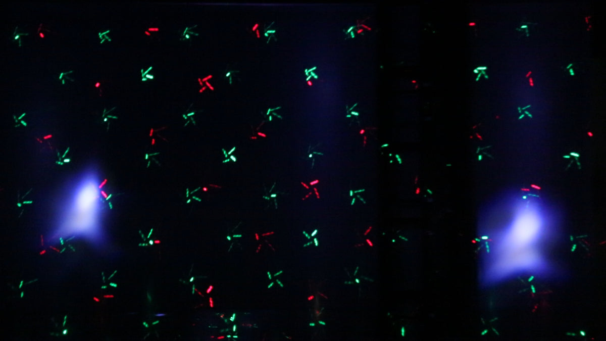 Event Lighting Lite - ShowPony All in one effects fixture